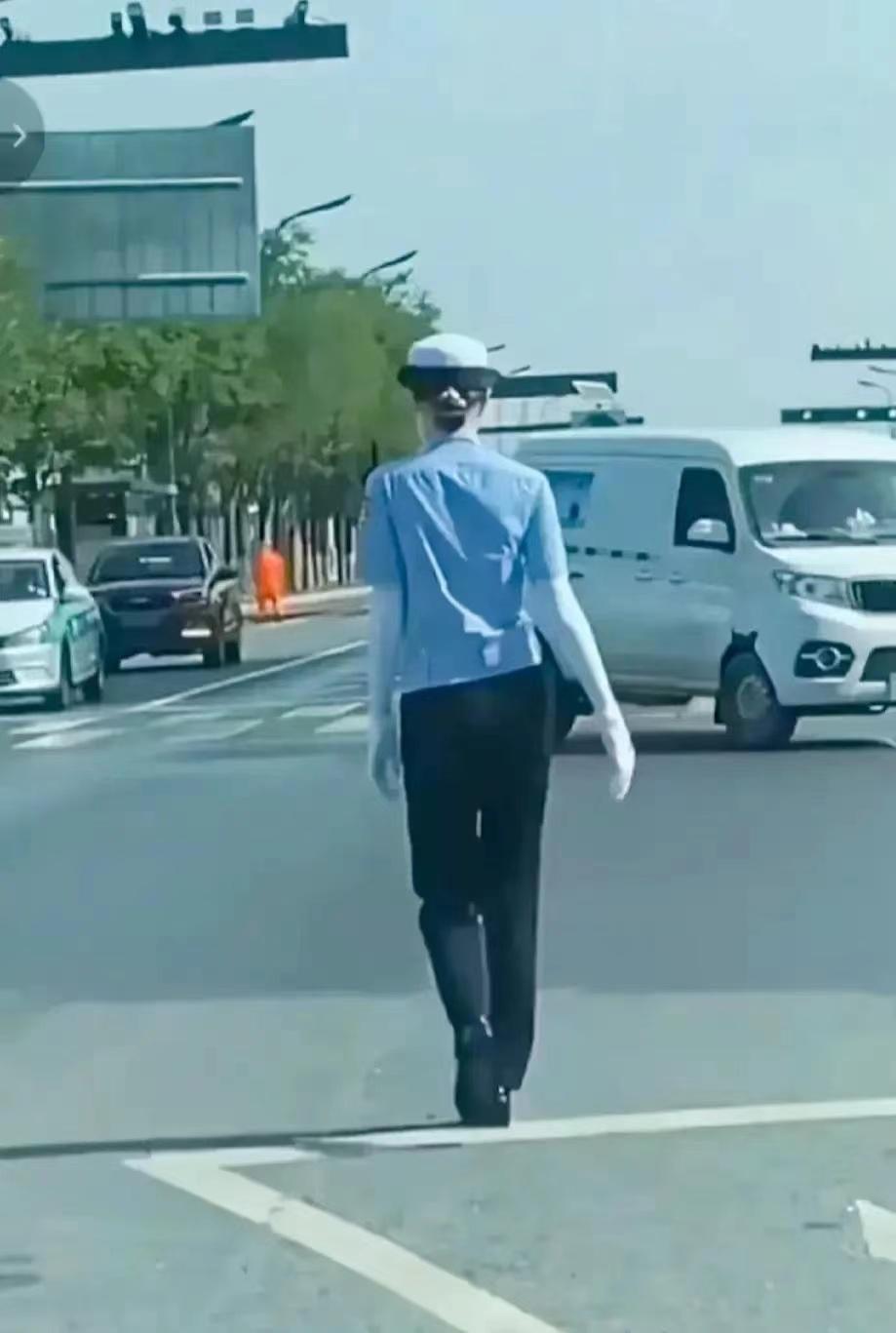 招蜂引蝶，揭秘背后的动物智慧