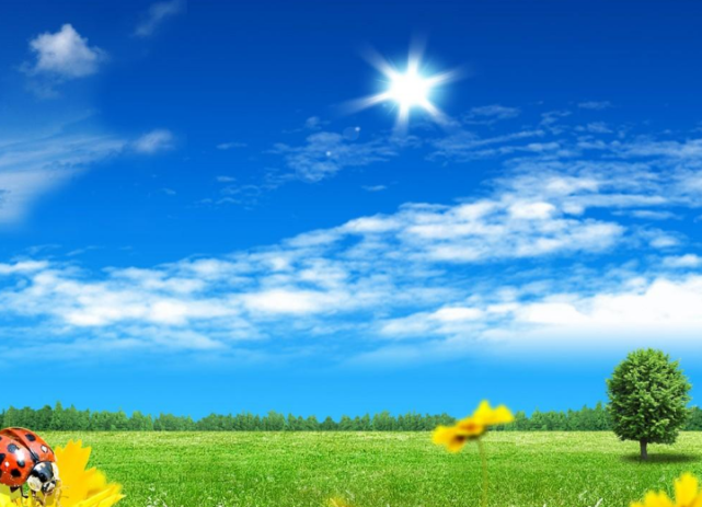 阳光是什么生肖，重点诠释解释落实