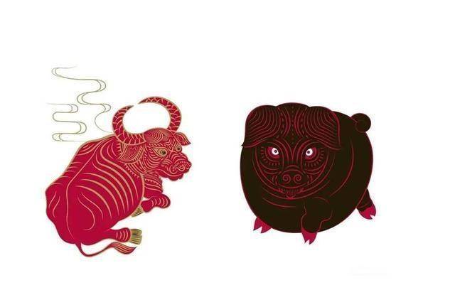 四面八方，一场误导解释的落实与生肖反思