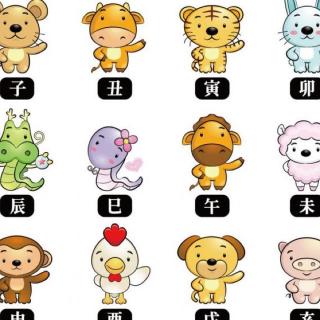 十二生肖排第六是什么生肖，谜底即将揭晓