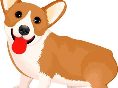 十二生肖那个最大，马上为你揭晓落实