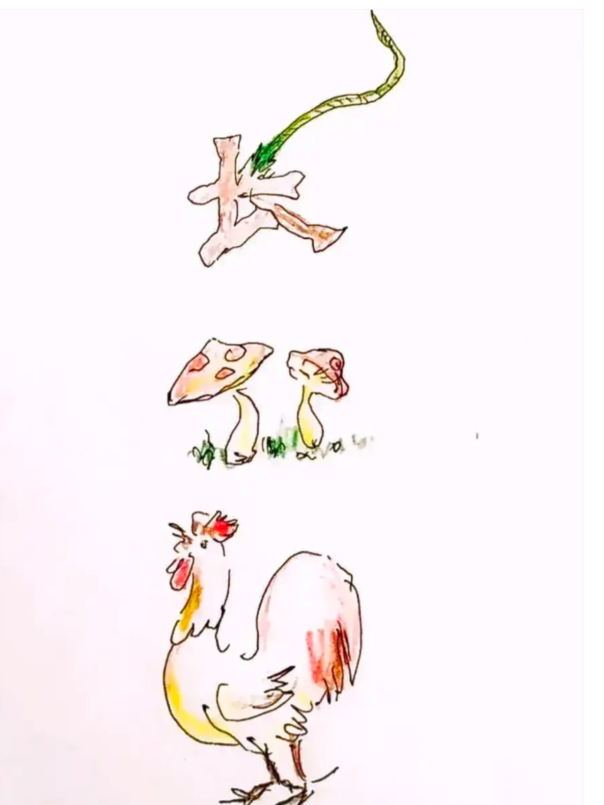 鸡头凤尾三缺一猜一动物，网络解释的落实与文化探索