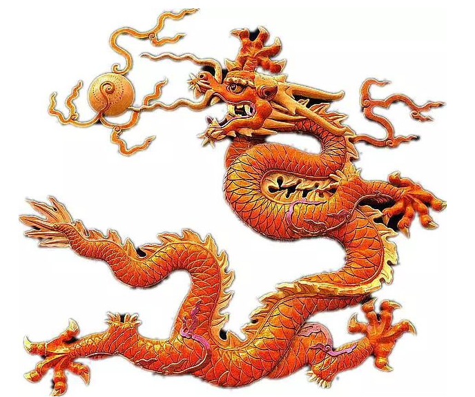 目光如炬，生肖龙与积极转变的启示