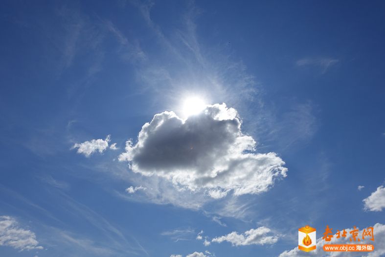 天高云淡是指什么生肖，的动物智慧与战略运用