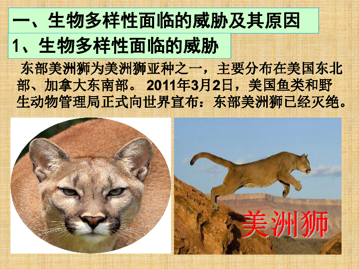 问五今秋几时黄，揭秘秋黄背后的动物谜题