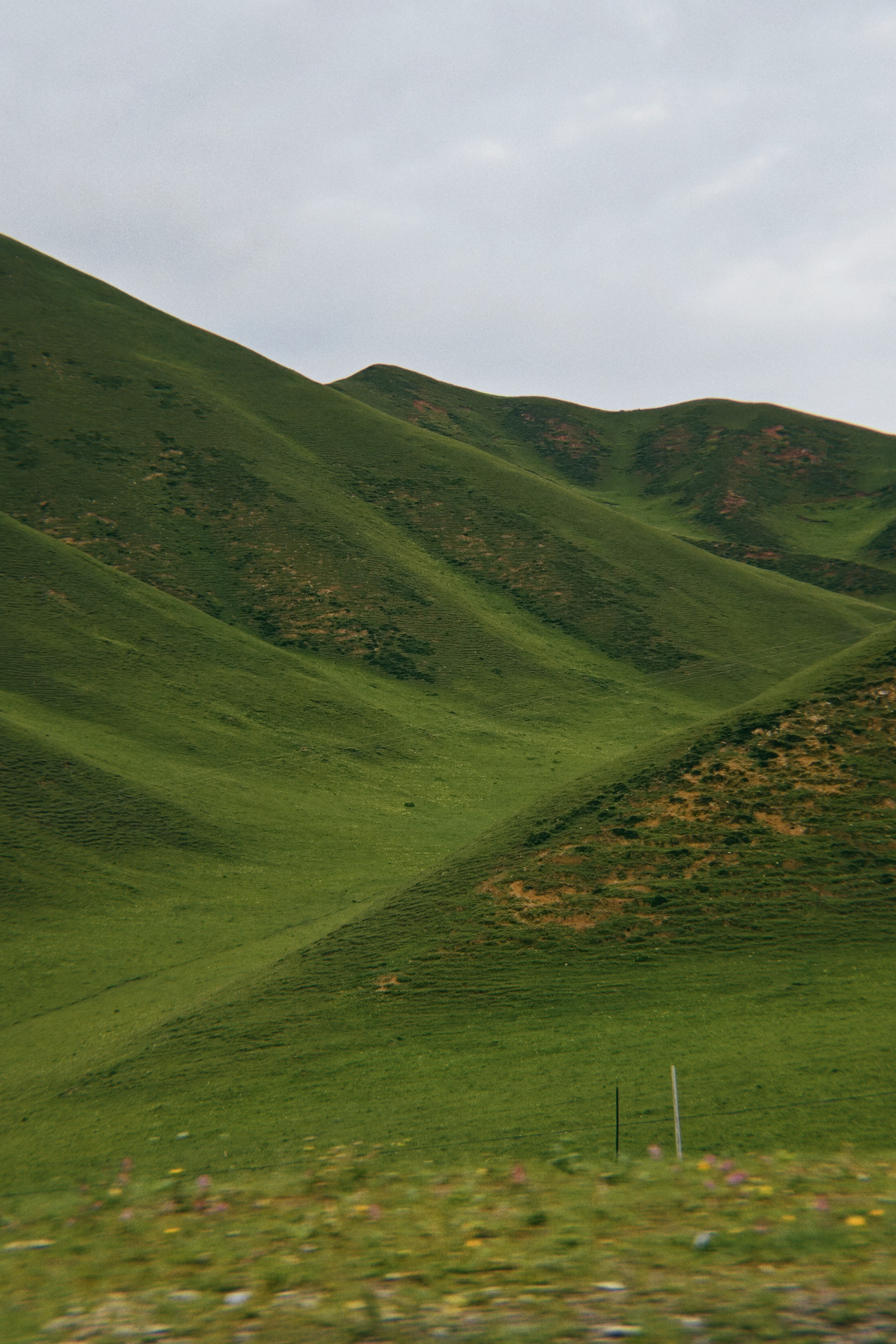 目不暇接，生肖中的视觉盛宴