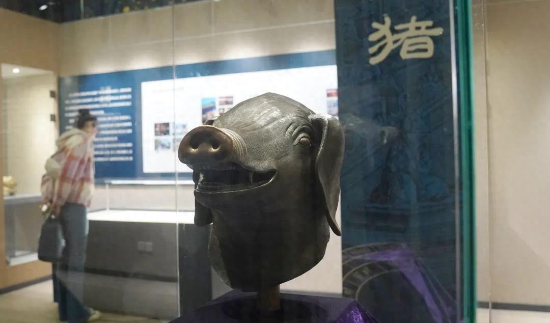 阴毒背后的坚韧与不屈，生肖之谜的深度剖析