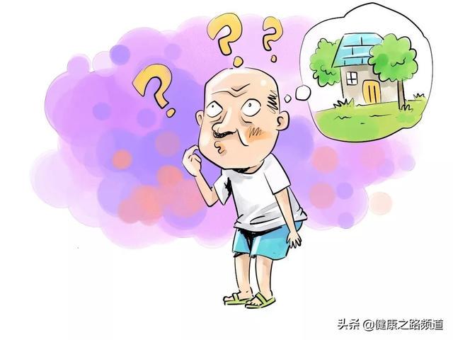 痴呆懵懂打一正确生肖，全面解析与落实