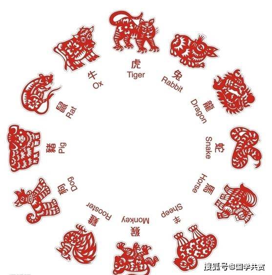 阴阳相生,财源广进,揭秘一阴一阳好发财背后的生肖奥秘 阴阳相生,财源广进,揭秘一阴一阳好发财背后的生肖奥秘