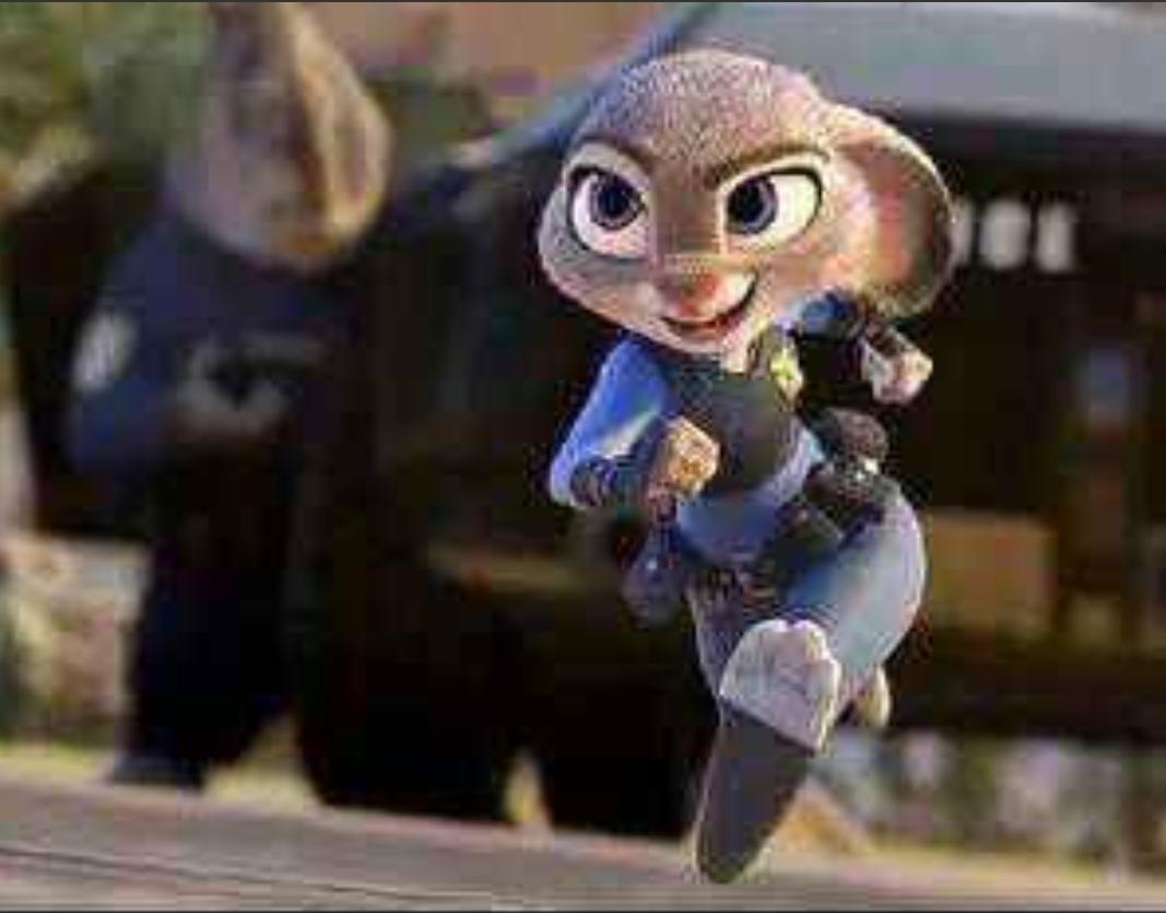 坚强的动物，生肖之牛的坚韧精神