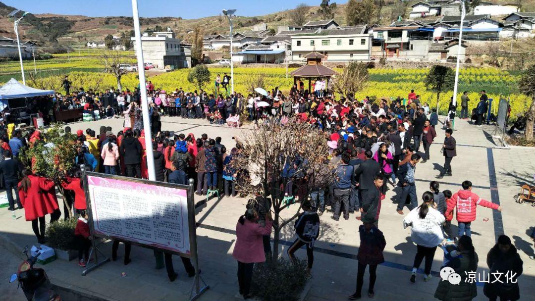 倚马千言猜一生肖，非凡解释落实