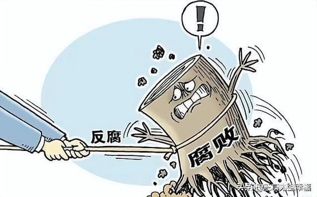 落井下石与生肖的智慧，理想作答，落实解释