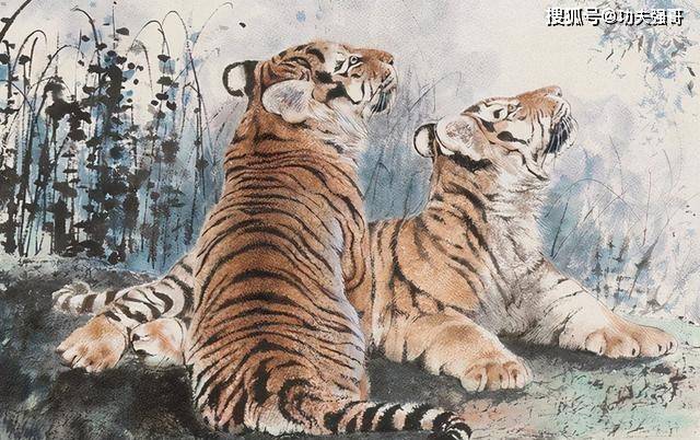 虎的三合生肖是什么，全面解析与落实