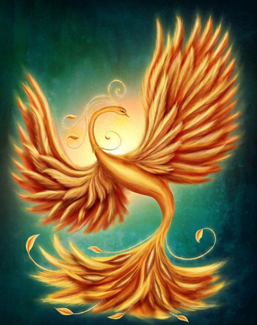 十二生肖之谜，为何老鼠能独占鳌头？实证解析与文化解读