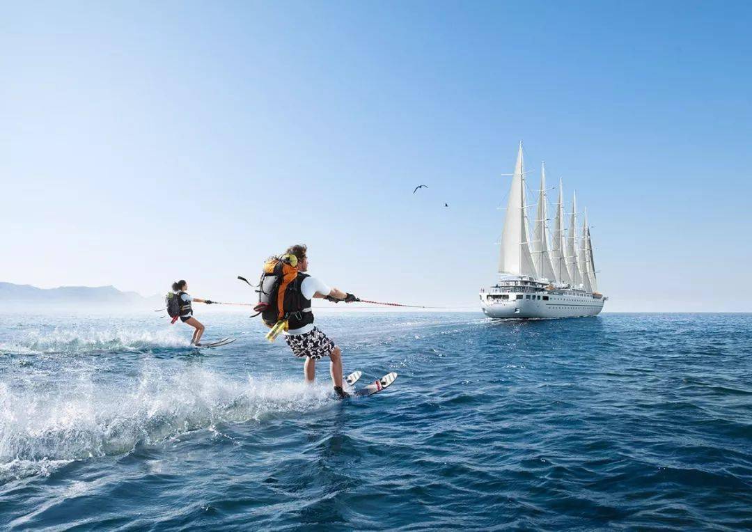 标新立异猜一动物，从创意到成就的奇妙旅程