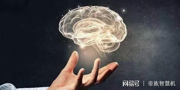 秃头与生肖，一场关于智慧与命运的深度解析
