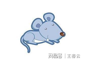 十二生肖中的医者—论属鼠之人的医疗智慧与仁心