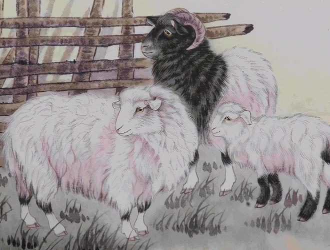 面红耳赤打一生肖动物，的最快解答落实