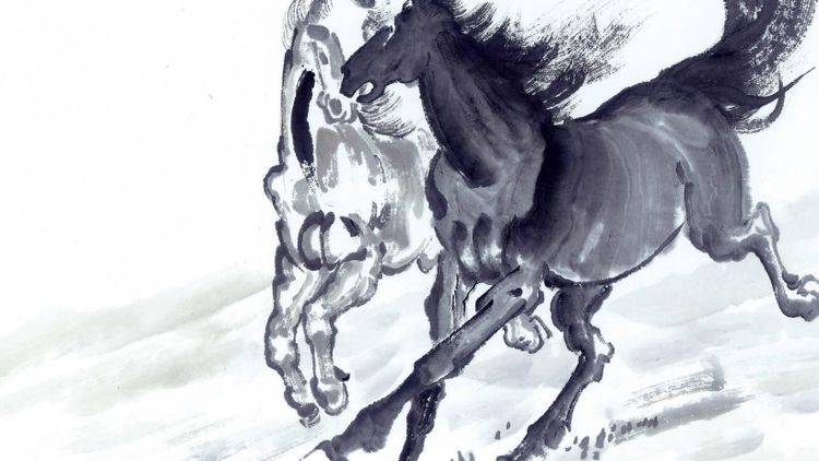 豪情壮志的生肖，定量解释落实