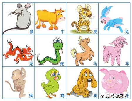 十二生肖中谁最胆小，一场误导解释的落实与反思