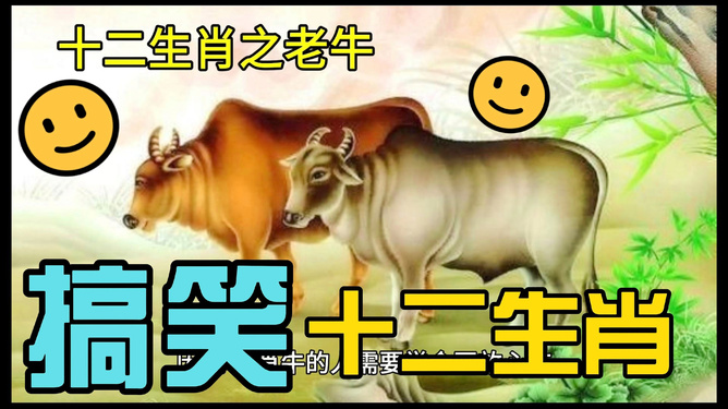 游刃有余的生肖，生肖牛的智慧与坚韧