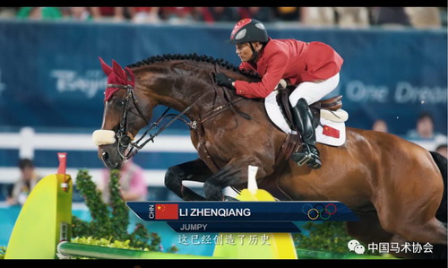 冲锋陷阵的生肖，勇往直前的马