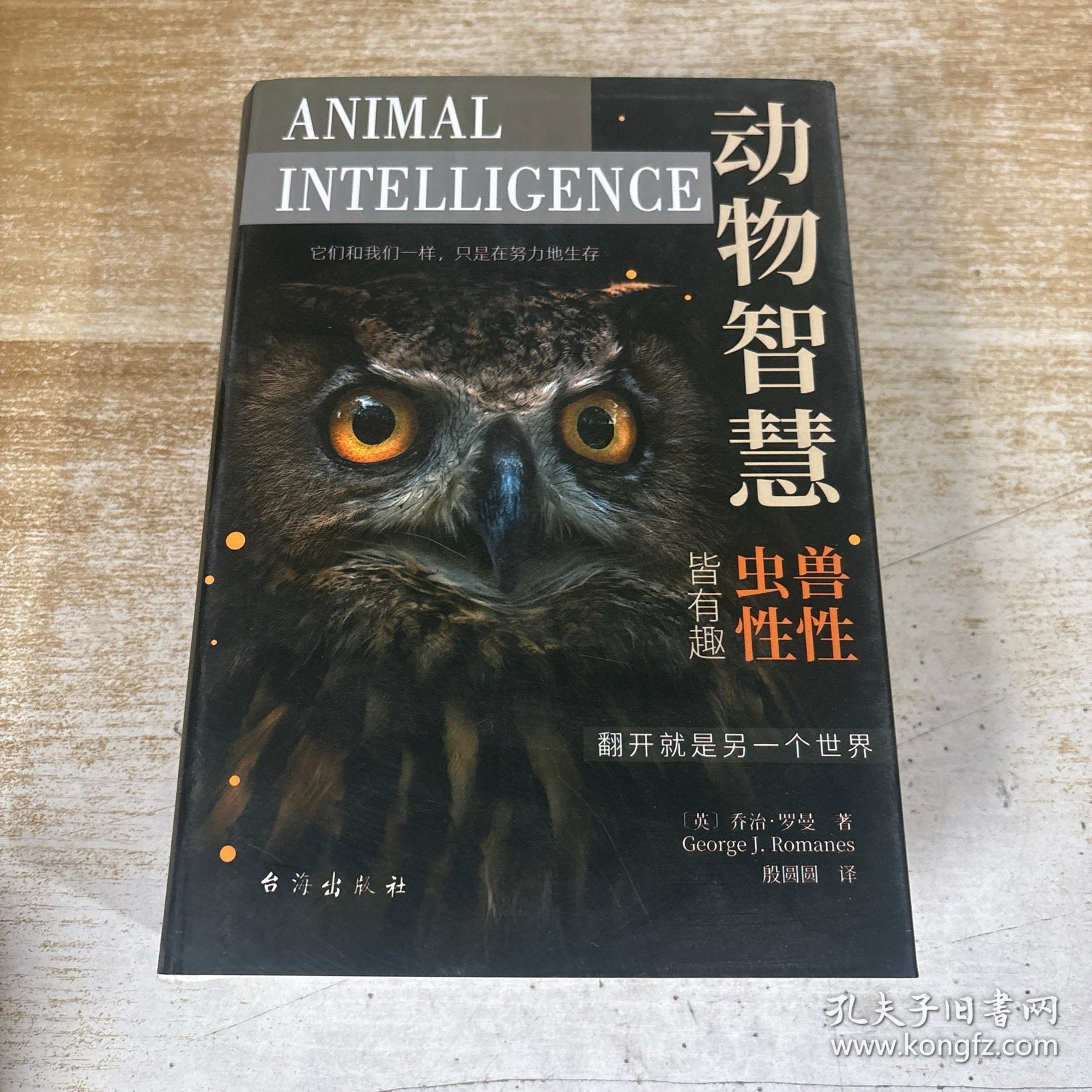 九牛一毛猜生肖，动物智慧与战略运用的奥秘