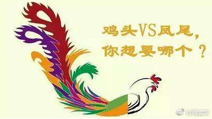 鸡头凤尾三缺一猜一动物，网络解释的落实与文化探索