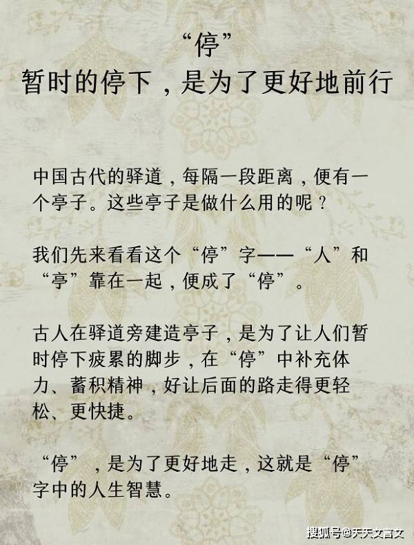 吃四方是什么生肖，背后的智慧与哲理