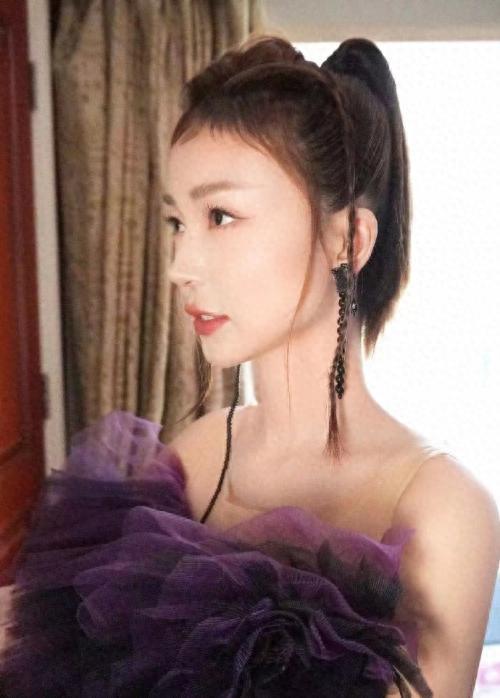 绿林好汉抓盗贼，生肖之谜与社会进步的文化解析