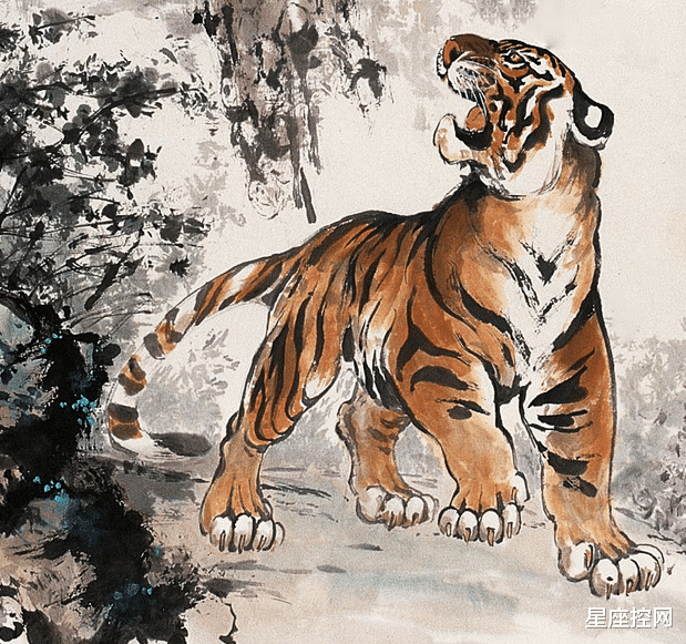 正人君子的生肖，佩服作答落实解释