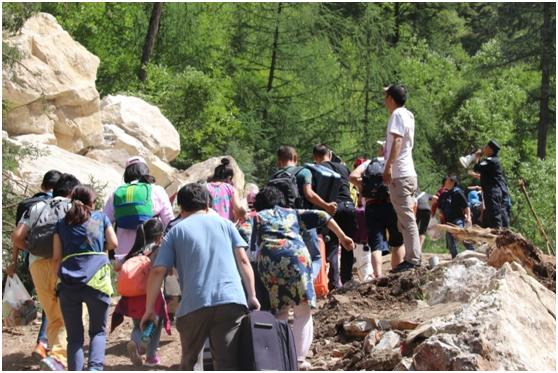 深情厚谊是什么生肖，重点诠释解释落实