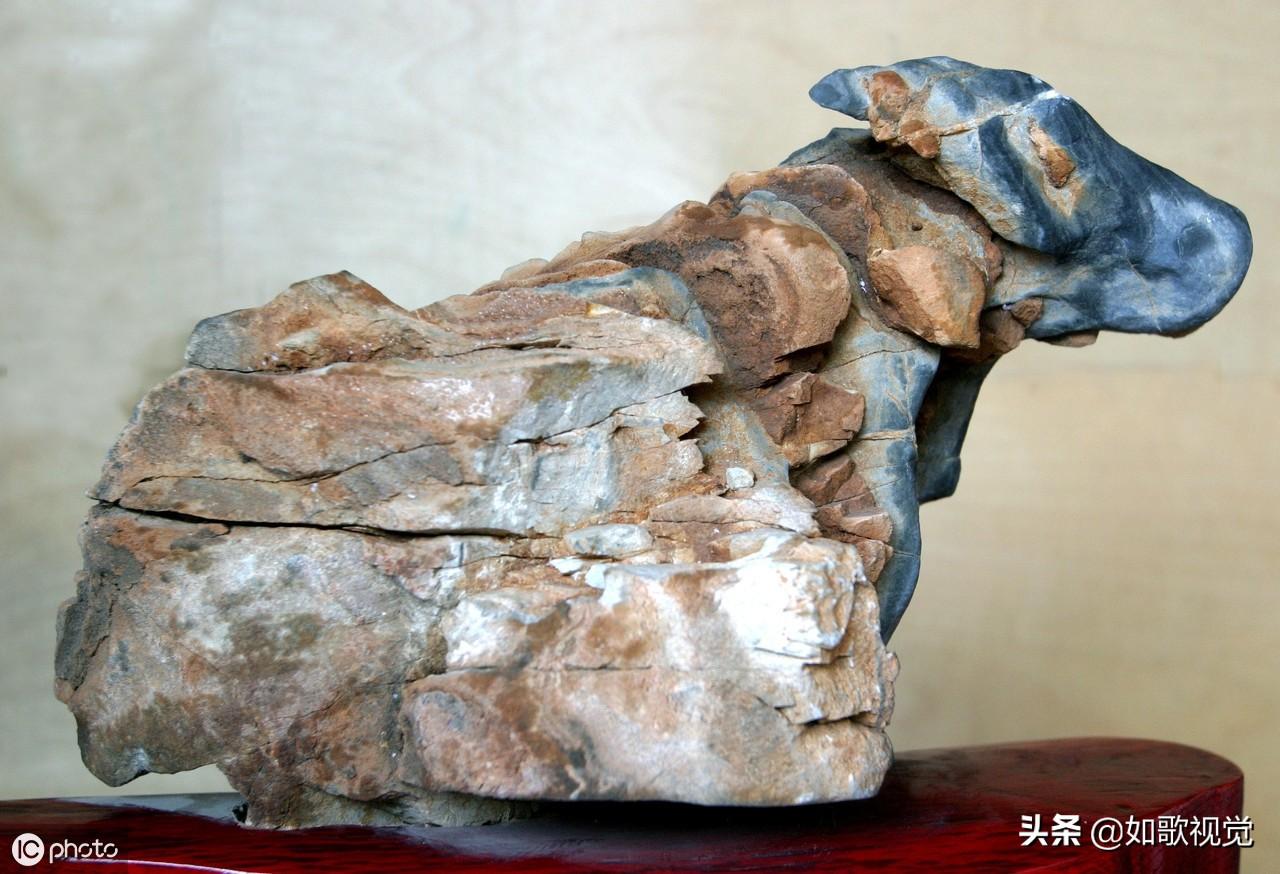 活灵活现猜一生肖,一场误导解释的落实与反思 活灵活现猜一生肖,一场误导解释的落实与反思