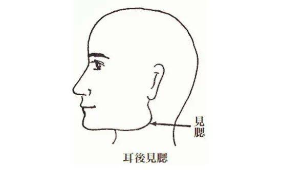 抓耳挠腮是指什么生肖，正确解释与落实