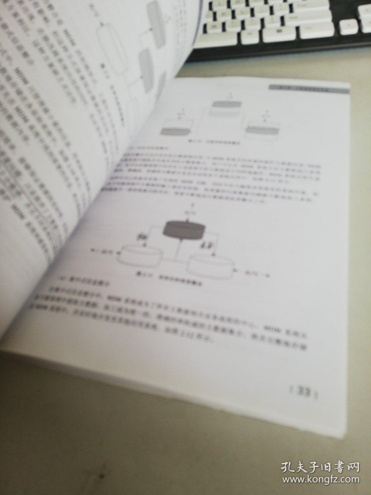 花花衣衣的生肖，精选解析与落实的详细结果