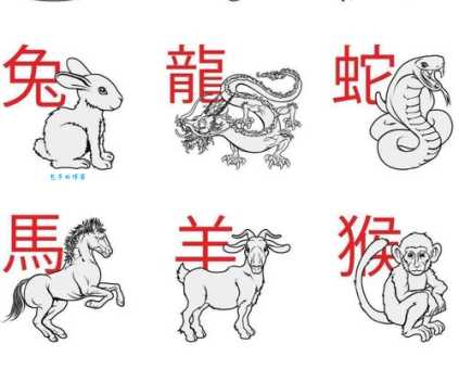 冷眼旁观猜一生肖，背后的坚韧与不屈