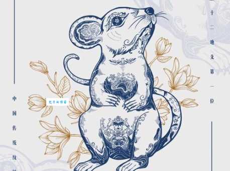 满坐寂然猜一生肖，揭秘生肖背后的文化与智慧