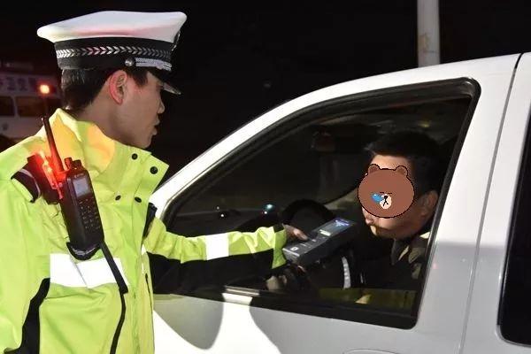 十二生肖胆小的动物，积极作答，落实解释