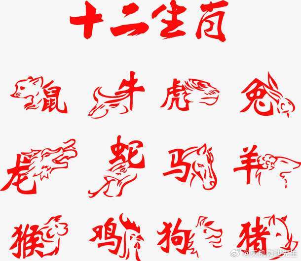 舍车保帅，生肖智慧中的策略与牺牲