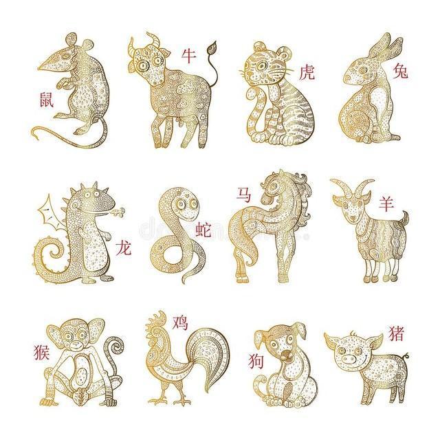 十二生肖谁是将军,结论作答落实解释 十二生肖谁是将军,结论作答落实解释