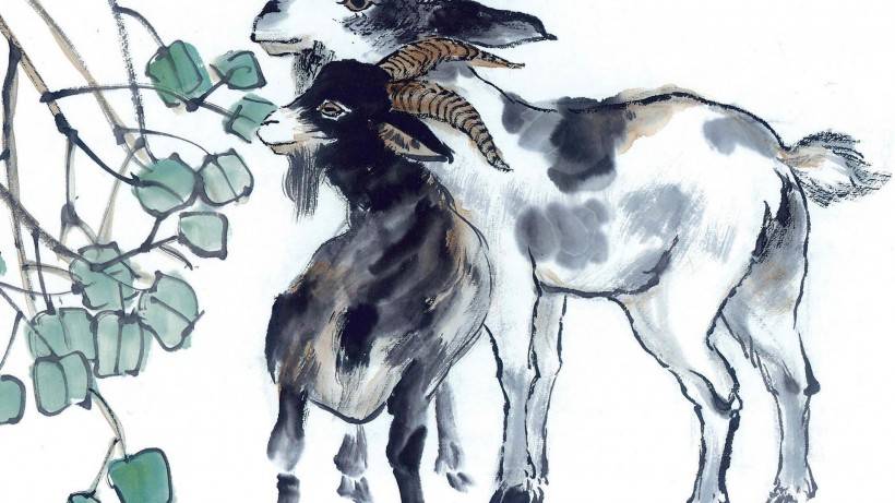 横冲直撞的生肖，最新解释与落实