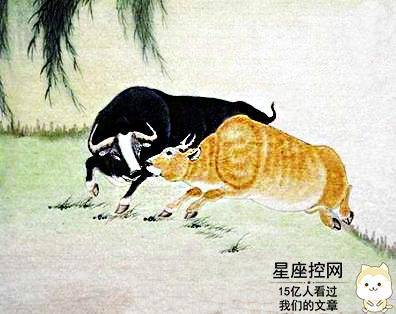 弱肉强食猜一生肖，全面揭晓解释落实