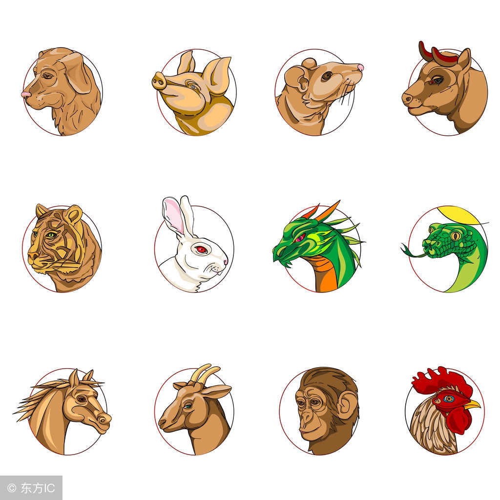 七拼八凑，揭秘生肖中的拼凑高手—鼠