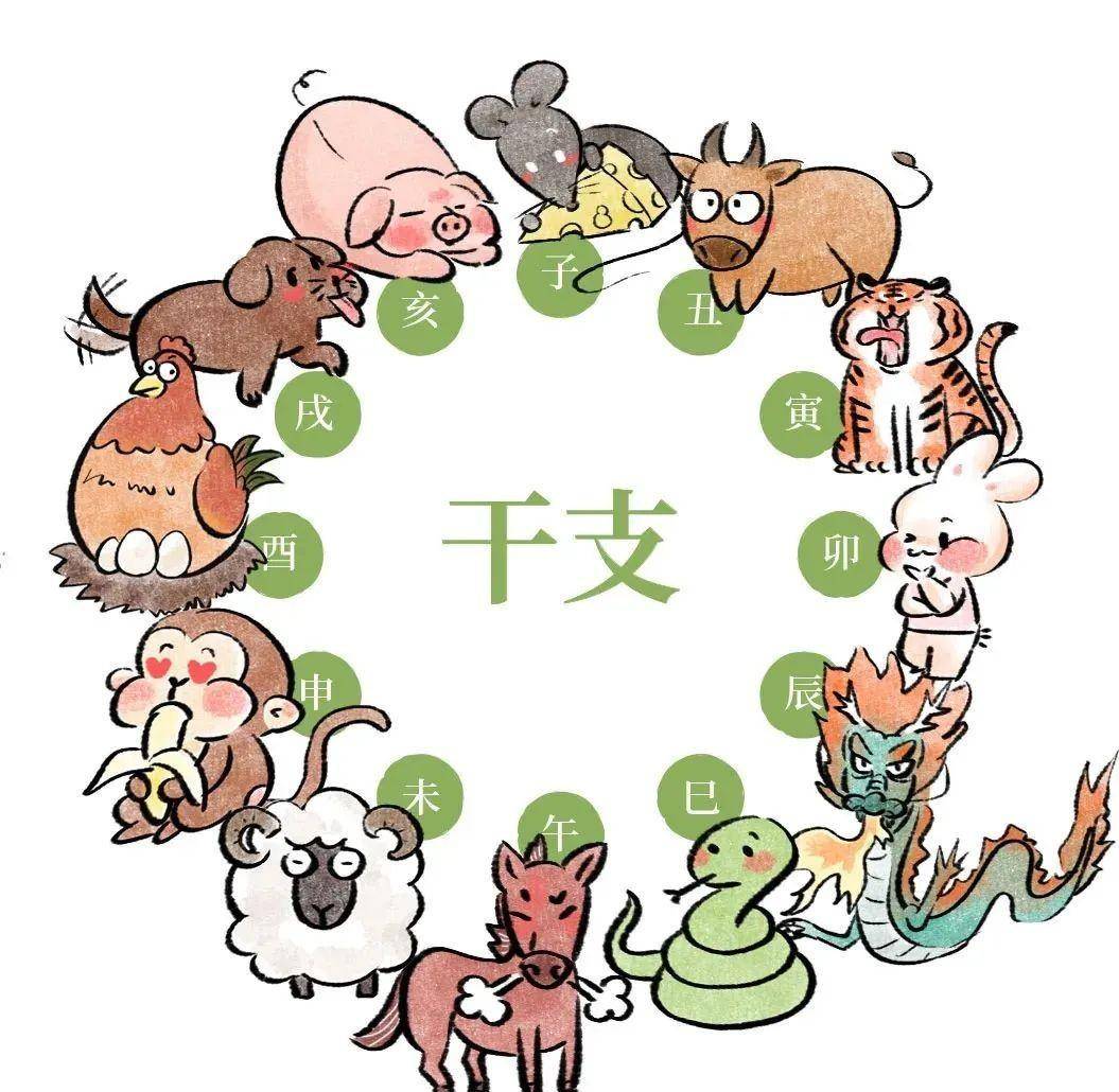 十二生肖中的最不爱干净之谜，揭秘属猪者的生活态度