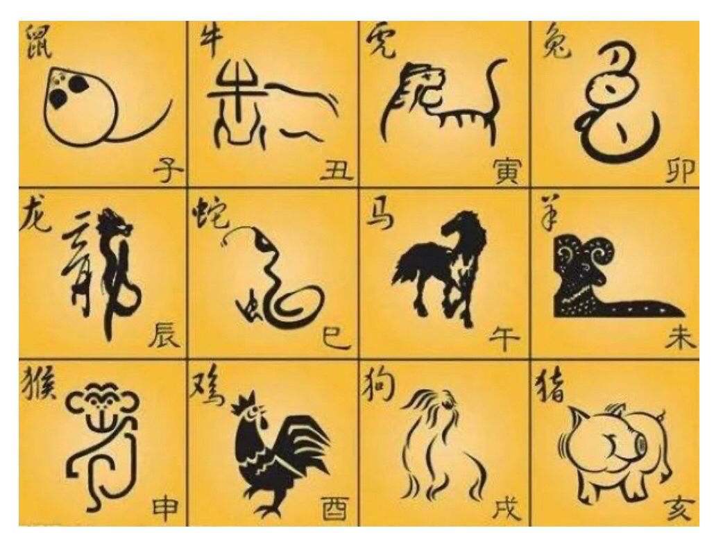 家丑外扬猜一生肖,精选解析与落实的详细结果 家丑外扬猜一生肖,精选解析与落实的详细结果