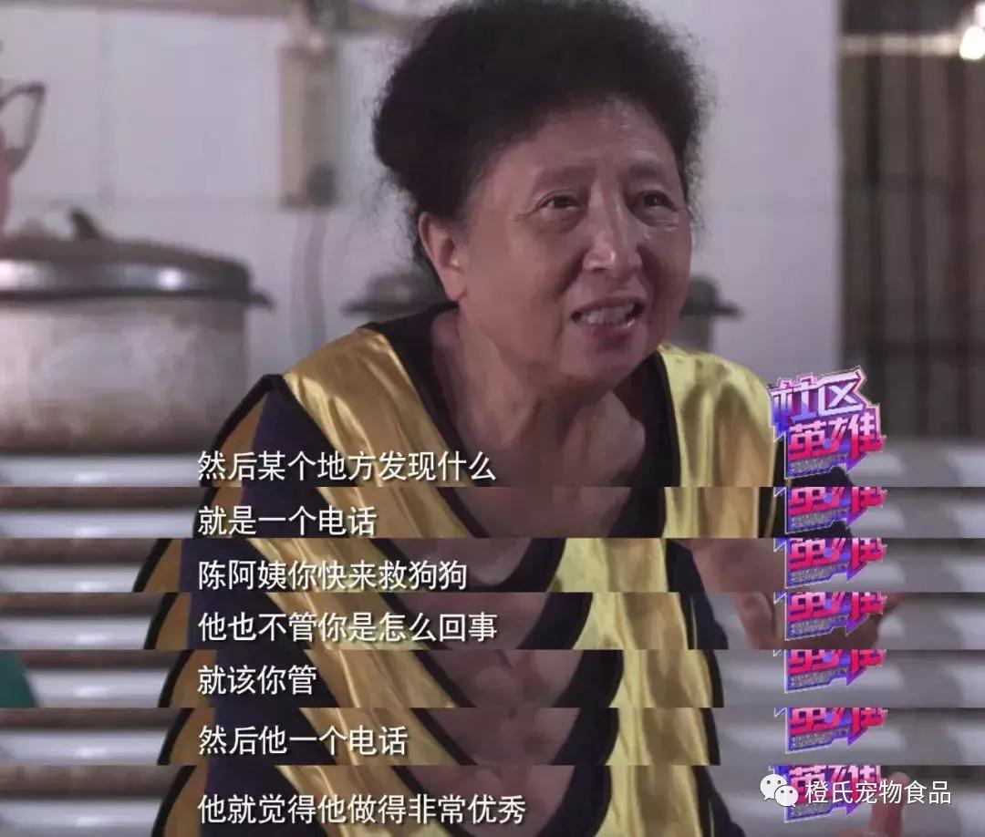 洋洋自得猜一动物，寓言背后的生活哲理