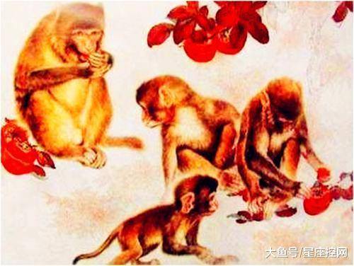 探秘热火朝天背后的生肖文化寓意