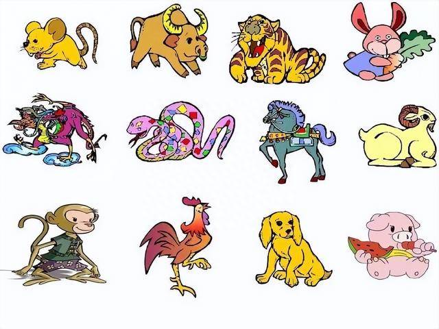 其貌不扬的动物是指什么生肖，深度解析与落实