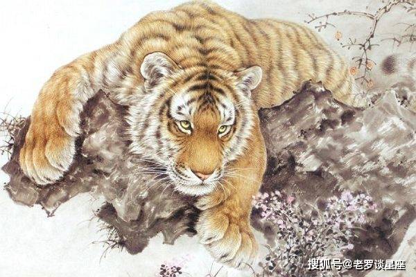 秀丽宜人猜一生肖，经典解释作答落实