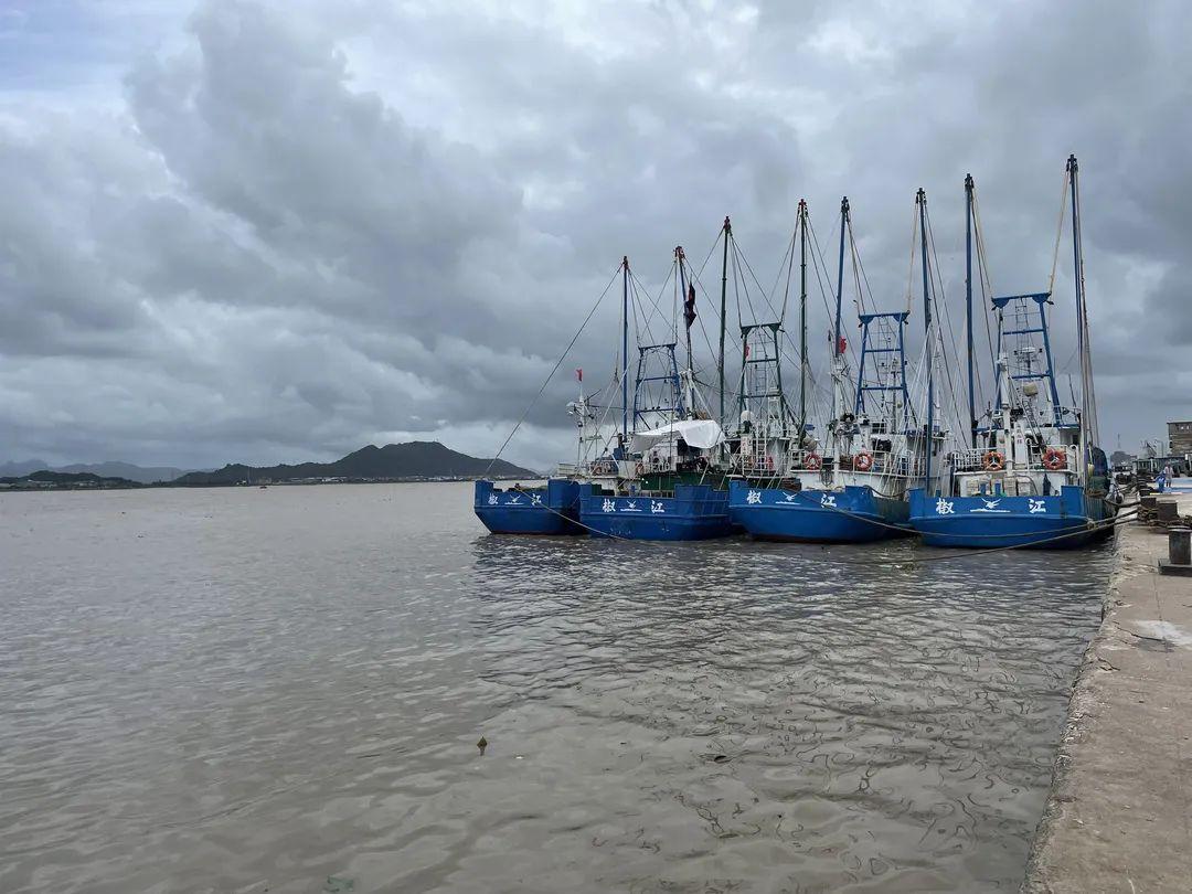 大公无私打一生肖,解释与落实的和谐共舞 大公无私打一生肖,解释与落实的和谐共舞